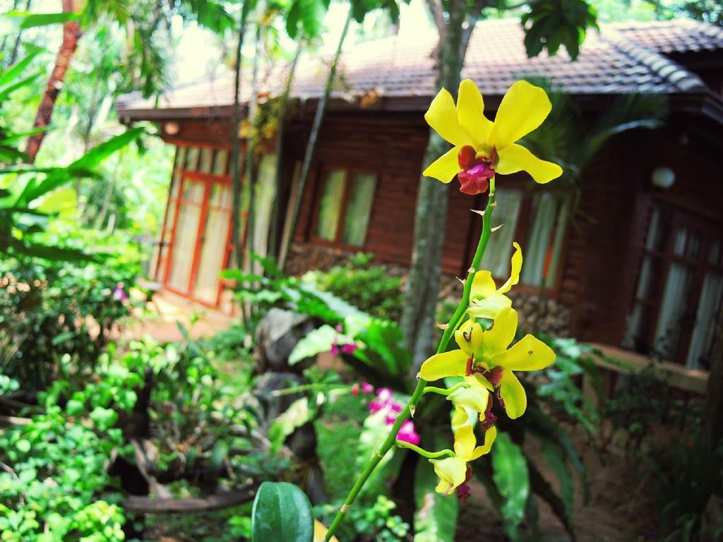 Polina Park Hotel Mae Nam Esterno foto