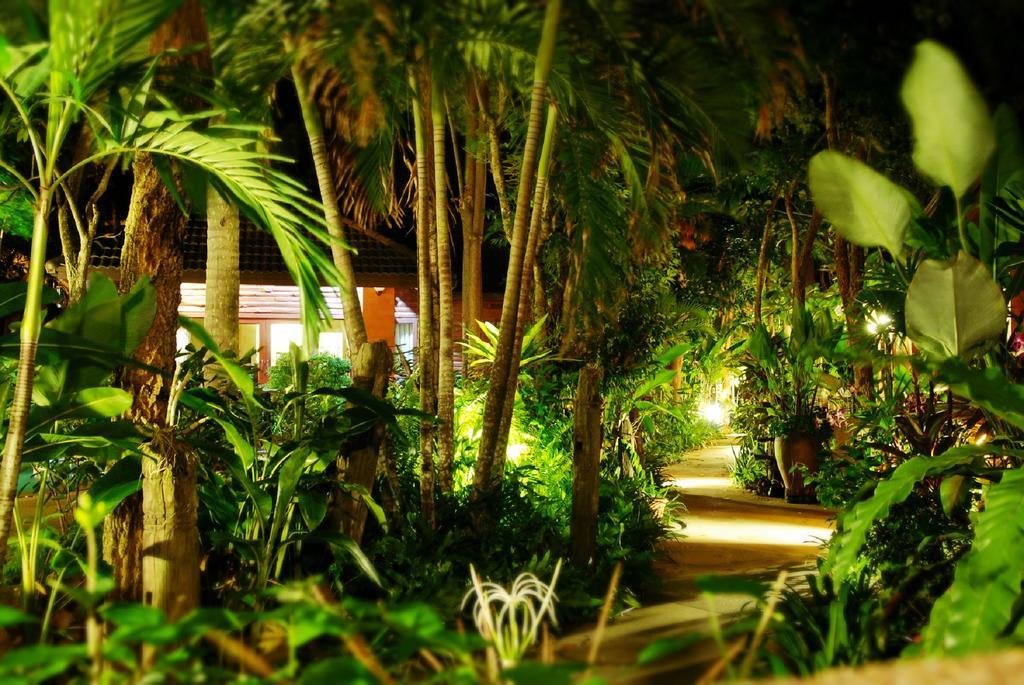 Polina Park Hotel Mae Nam Camera foto